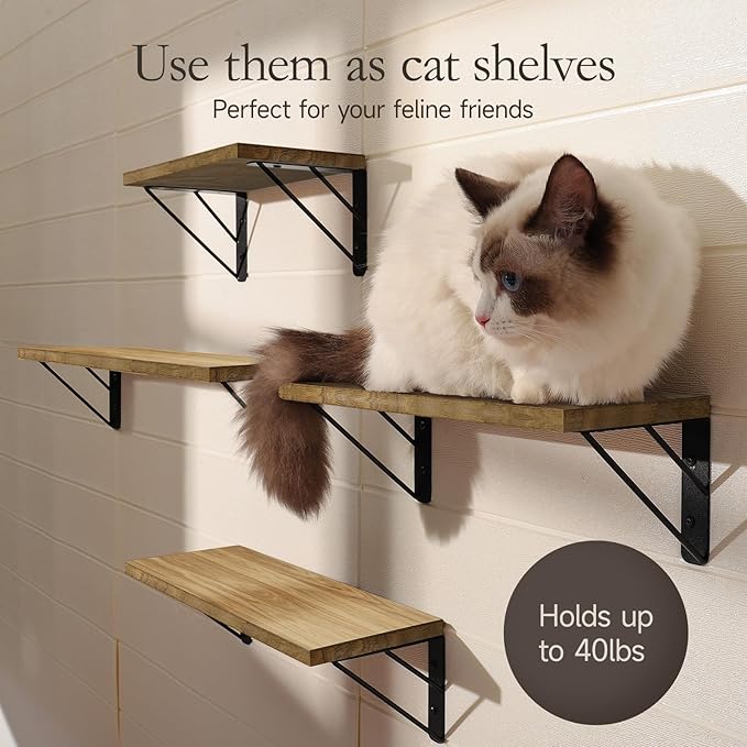 BAYKA Wall Shelves for Bedroom Decor, Floating Wall Shelves for Living Room - Image 4