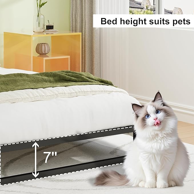 EMODA 7 Inch Queen Bed Frame No Box Spring Needed Heavy Duty Metal Platform - Image 5