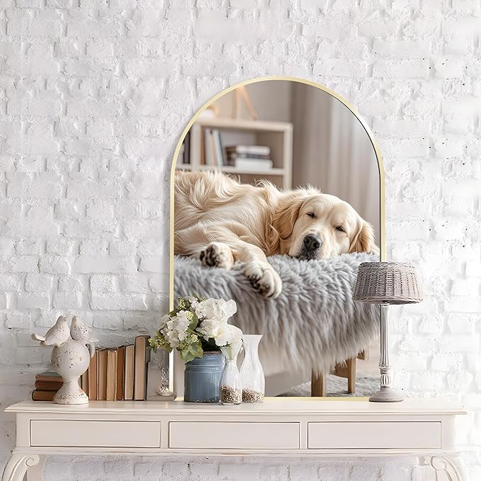 Arched Wall Mirror 20"X30", Modern Farmhouse Mirror Wall Mounted, Curved Arch by PUZONJIG