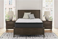 Signature Design by Ashley Limited Edition Pillow Top 13 " Pillow Top Hybrid by SignatureDesignbyAshley