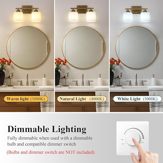 Stainless Steel Milk Glass Vanity Lights - Image 7