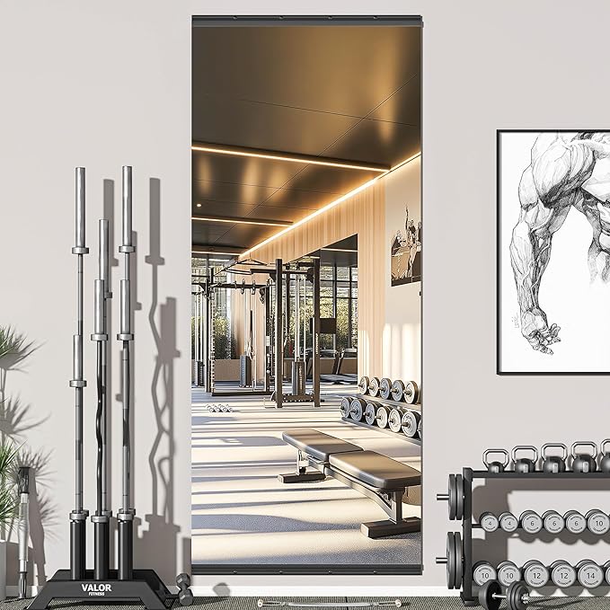 Hasipu 94''x39'' Home Gym Mirror Large Full Length Wall Mounted Full Body Mirror by Whatssuitableisthebest