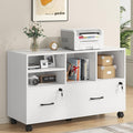 2 Drawer Wood Mobile Large Lateral File Cabinet by Nosepen