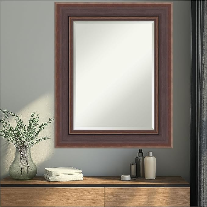 Amanti Art Brown Wall Mirror 32x26 Moab Brown Bronze Rectangle Bathroom Mirror - Image 4