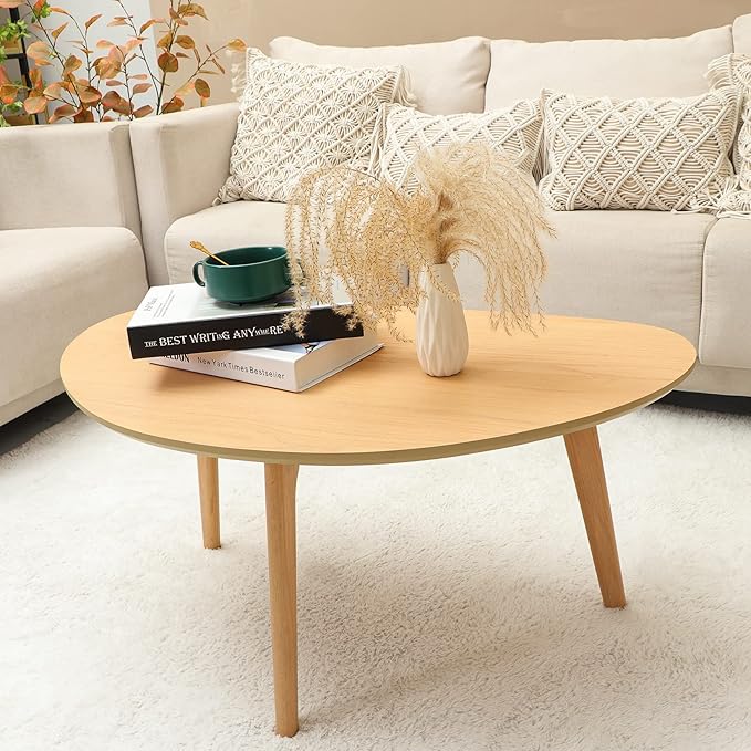 FIRMINANA Small Oval Coffee Table Mid Century Modern - Image 5