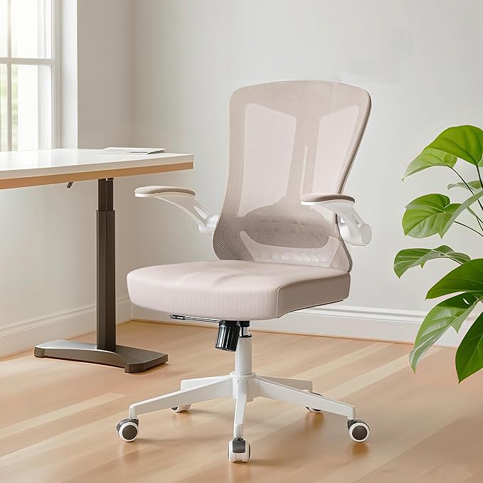 Ergonomic Office Chair by LaoJawBow