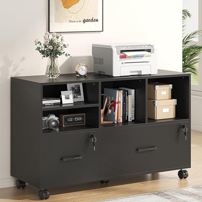 2 Drawer Wood Mobile Large Lateral File Cabinet by Nosepen