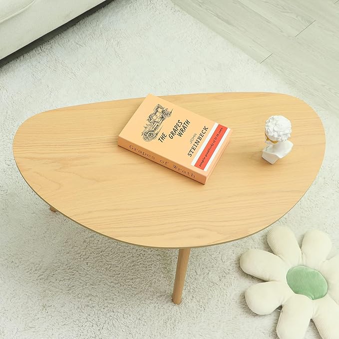 FIRMINANA Small Oval Coffee Table Mid Century Modern - Image 2