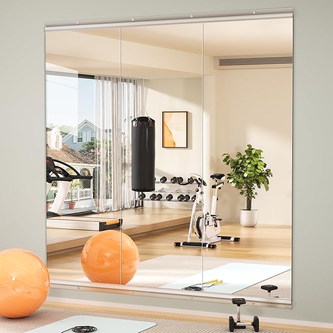 Hasipu Home Gym Mirror 55" L x 17" W by Whatssuitableisthebest