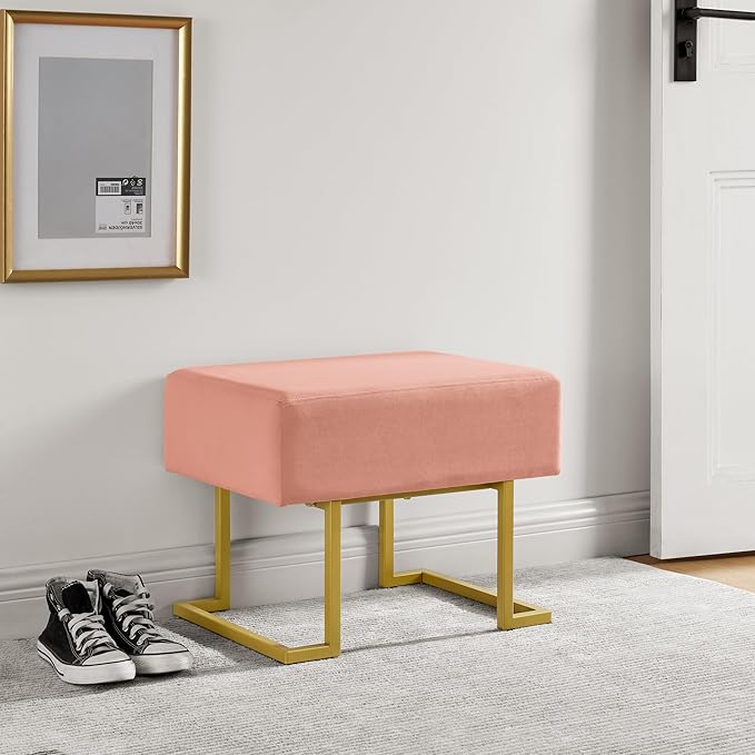 Modern Style Bedroom Single Seat Bench, Cushioned Bed end Stool, Living Room by ECLYLFurniture