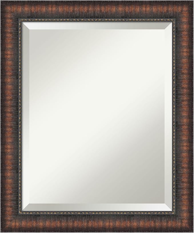 Amanti Art Brown Bathroom Mirror by AmantiArt