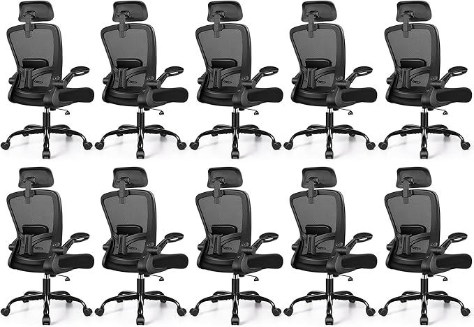 FelixKing Ergonomic Office Chair, Headrest Desk Chair by FelixKing