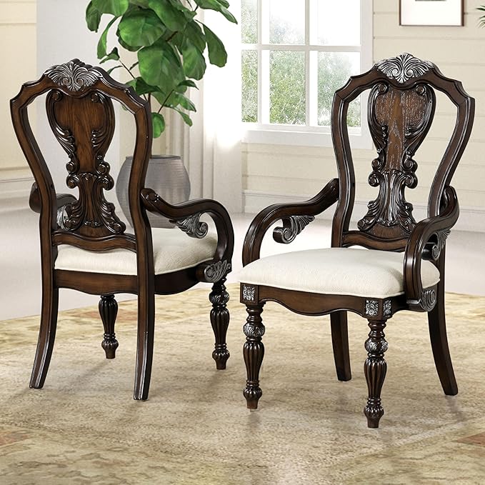 Furniture of America Byrne Traditional Arm Chairs Set of 2, Comfortable by FurnitureofAmerica