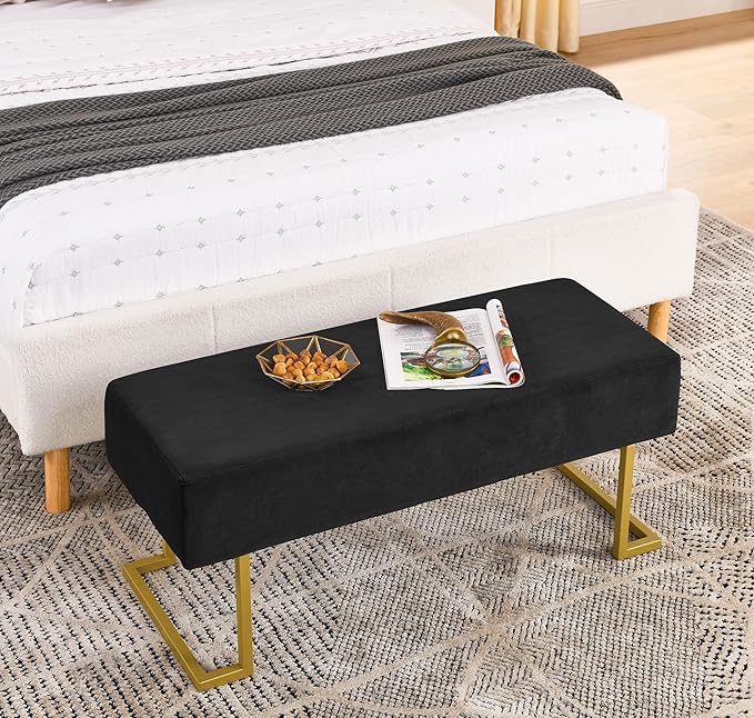 Modern Style Bedroom Double Seat Bench, Cushioned Bed end Stool, Living Room - Image 3