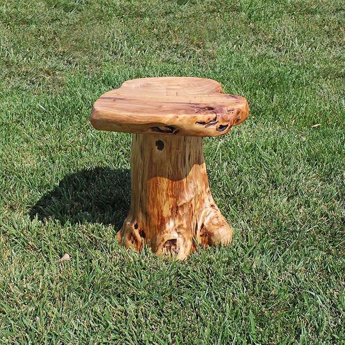 WELLAND Natural Cedar Stump Stool, Live Edge Side Table, Plant Stand, Small - Image 9
