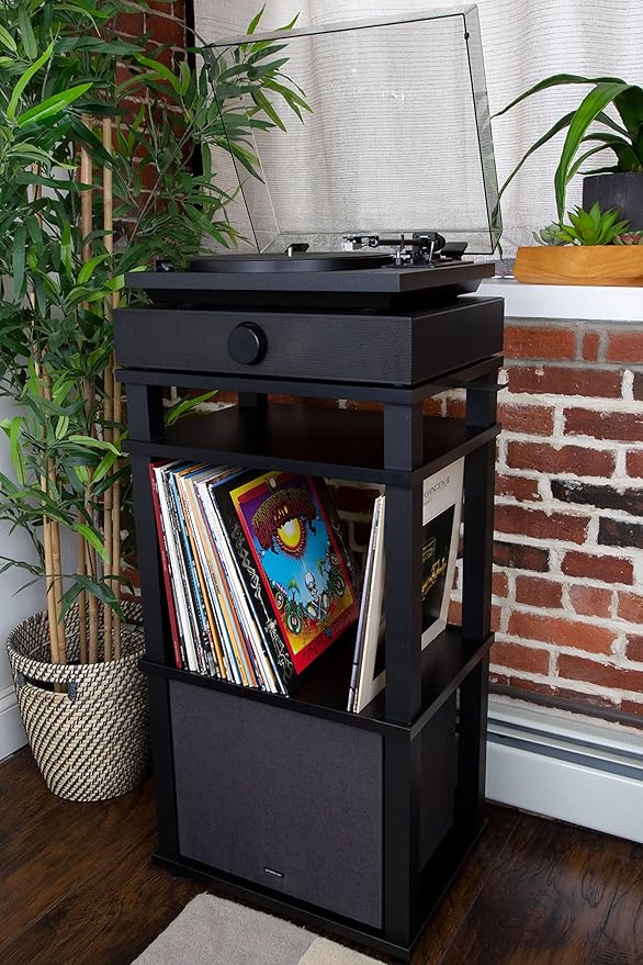 Andover Audio SpinStand Rack for Records and Audio Components - Image 4