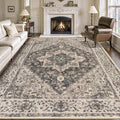 Tangsoo 8x10 Area Rugs for Living Room, 8x10 Washable Rug Vintage Indoor Non by Tangsoo