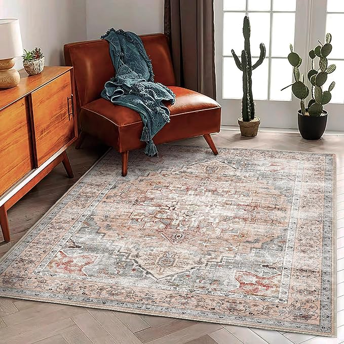 3'x5' Light Cyan and Light red Vintage Washable Thin Area Rug Traditional Floor by CHAMPLANT