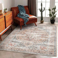3'x5' Light Cyan and Light red Vintage Washable Thin Area Rug Traditional Floor by CHAMPLANT
