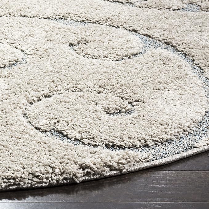 SAFAVIEH Florida Shag Collection Area Rug - Image 3