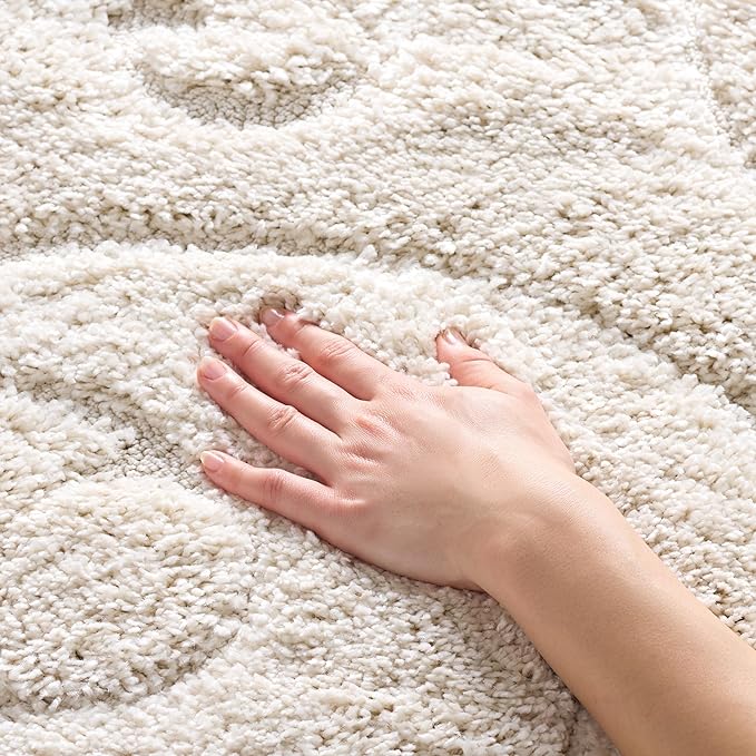 SAFAVIEH Florida Shag Collection Area Rug - Image 4
