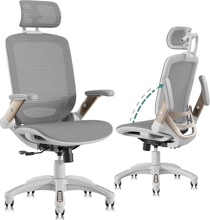 GABRYLLY Ergonomic Office Chair, High Back Home Desk Chair by GABRYLLY