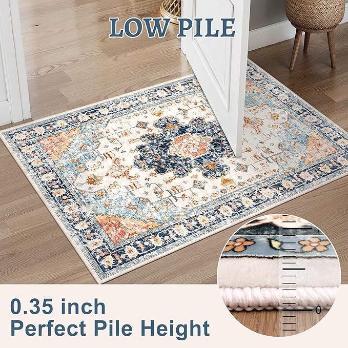 Tangsoo 4x6 Area Rug for Living Room, Washable Vintage Indoor, Distressed - Image 3