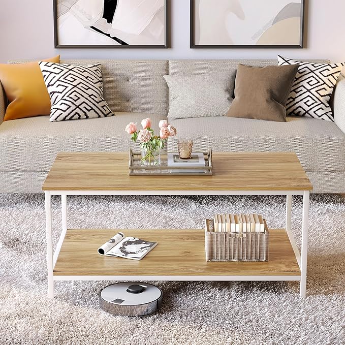 SAYGOER Coffee Table with Storage 2-Tier Industrial Center Table - Image 2