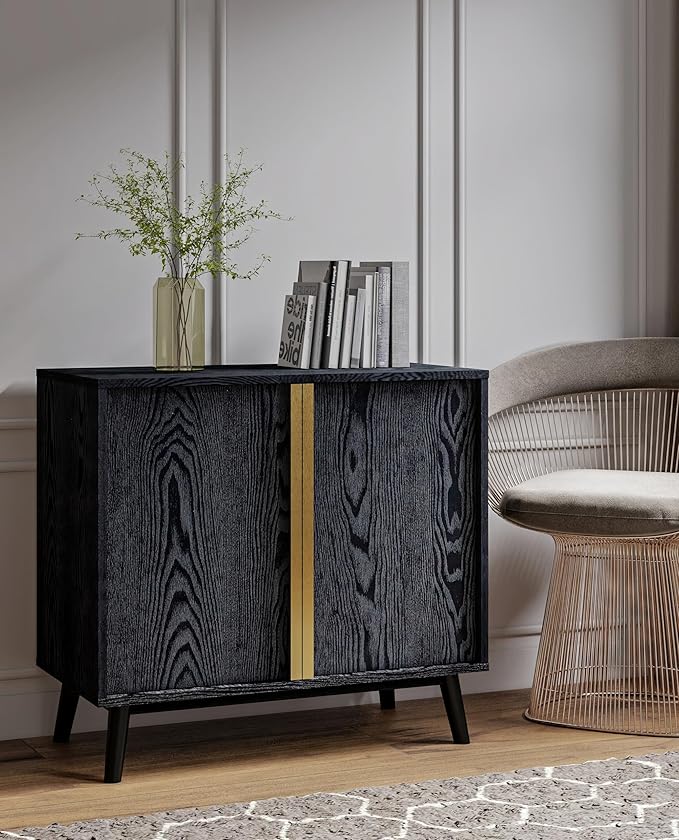 Sango Cortland 2-Door Accent Cabinet, Sleek Black Storage Cabinet - Image 3