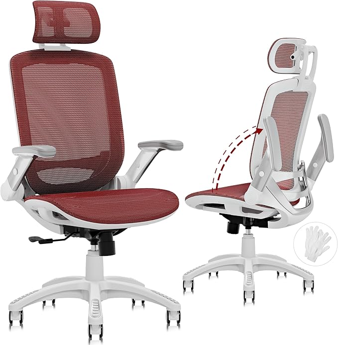 GABRYLLY Ergonomic Office Chair, High Back Home Desk Chair by GABRYLLY