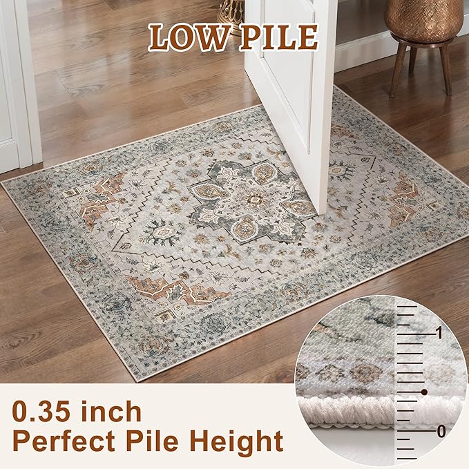 Tangsoo 8x10 Area Rug for Living Room, Washable Vintage Rugs Indoor Non Slip - Image 3