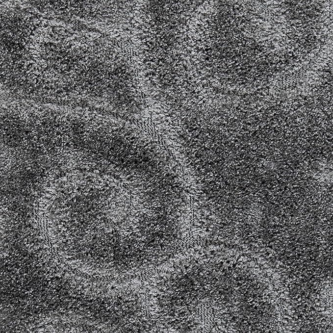 SAFAVIEH Florida Shag Collection Area Rug - Image 6