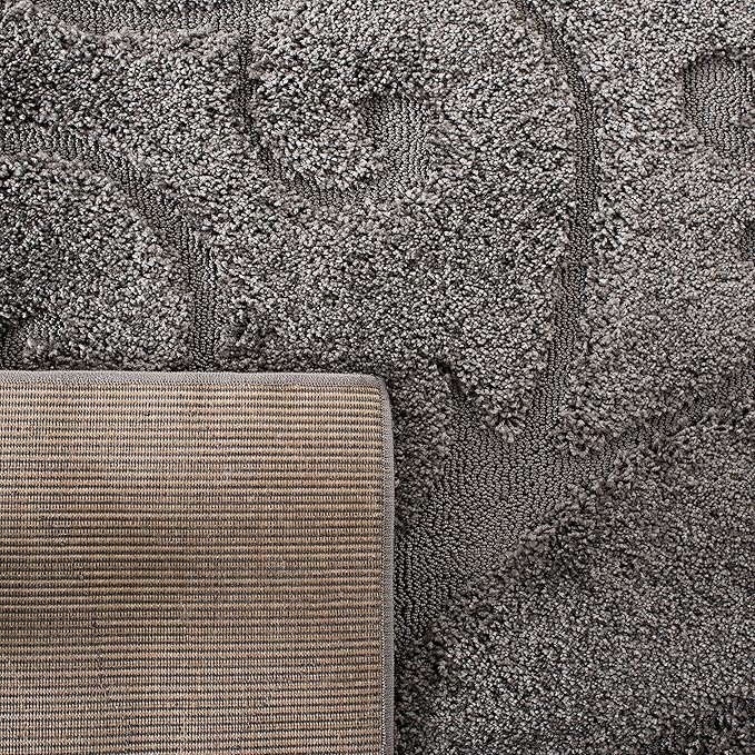 SAFAVIEH Area Rug 8x10 - Image 8